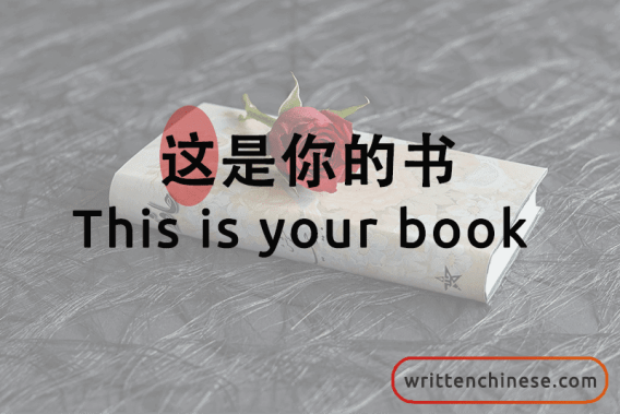 Top 20 Most Common Chinese Characters 这